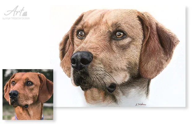 Hundeportrait, handgezeichnet