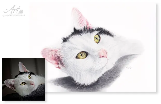 Katzenportrait, handgezeichnet